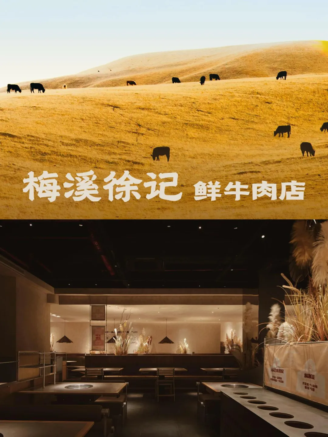 徐記·鮮牛肉潮汕火鍋店全案裝修設(shè)計方案(圖1)
